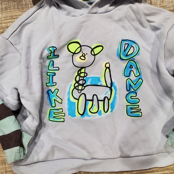 Boy Hoodies Size 2T Gray Hoodies 2 Pieces - Picture 7 of 8